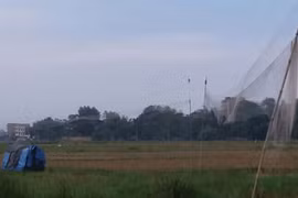 Săn bắt tận diệt chim trời: "Bốc" máy a lô là có hàng "độc"