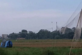 Săn bắt tận diệt chim trời: "Bốc" máy a lô là có hàng "độc"