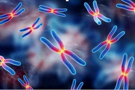 Căn bệnh mới hiếm gặp có thể gây tử vong, chỉ nam giới mắc