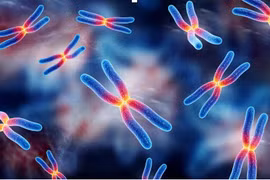 Căn bệnh mới hiếm gặp có thể gây tử vong, chỉ nam giới mắc