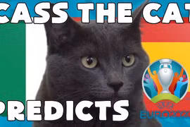 Mèo tiên tri "đặt cửa" Italia vào chung kết Euro 2020