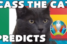 Mèo tiên tri "đặt cửa" Italia vào chung kết Euro 2020