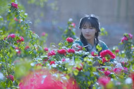 "Tiên nữ đồng quê" Lý Tử Thất bị kẻ gian mạo danh lừa đảo