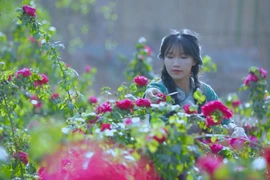 "Tiên nữ đồng quê" Lý Tử Thất bị kẻ gian mạo danh lừa đảo