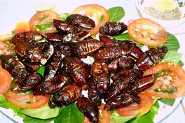 Độc - dị - ngon chính là những đặc sản An Giang