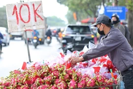 Thanh long Việt Nam xuất sang châu Âu giá 400.000 đồng 1 quả