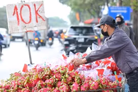 Thanh long Việt Nam xuất sang châu Âu giá 400.000 đồng 1 quả