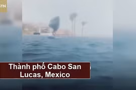 Video: Màn lướt sóng sử dụng túi nilon giữa cơn bão lớn