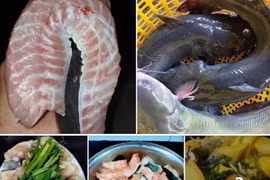 Loại cá từng tiến Vua ở Việt Nam đang được bán với giá siêu rẻ