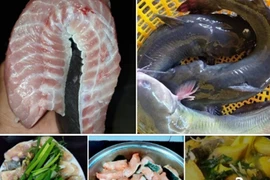 Loại cá từng tiến Vua ở Việt Nam đang được bán với giá siêu rẻ