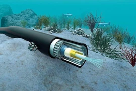 Một tháng nữa, cáp quang biển AAE-1 mới được sửa xong