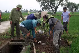 Hội Nông dân kêu gọi bà con cùng nhau diệt chuột
