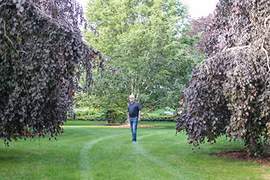 Vườn cây quý hiếm của ông lão 75 tuổi, giá 3,5 tỷ đồng mỗi cây