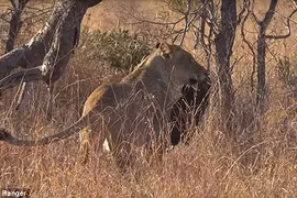 Rác rưởi của con người đã tấn công đến nơi hoang dã như thế này