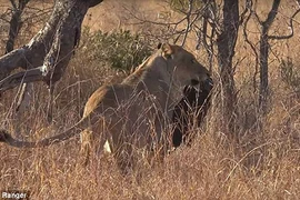 Rác rưởi của con người đã tấn công đến nơi hoang dã như thế này