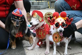 Thầy phong thủy mách món ăn may mắn năm Mậu Tuất