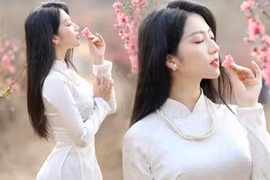 Nữ biên tập viên đẹp như nàng thơ lạc giữa vườn đào xuân