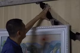 Video: Hàng chục ngôi nhà ở Hà Nội sụt lún, nứt vỡ gây hoang mang