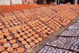 Rực rỡ những mẻ cá khô dưới nắng những ngày cận Tết