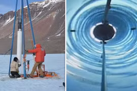 Con người đã tìm thấy sự sống dưới lớp băng Nam Cực