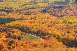 Video: Cùng ngắm vẻ đẹp mùa thu trên khắp nước Mỹ