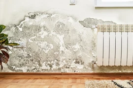 Triệt tiêu nấm mốc giúp nhà luôn khô ráo trong mùa nồm