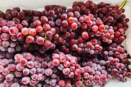 Nho Trung Quốc đổ về chợ Việt, có loại giá rẻ như khoai lang