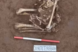 Phát hiện bộ hài cốt trong tư thế quỳ bị trói tay từ 3.000 năm