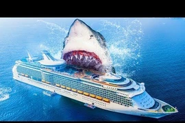 Video: Nếu còn sống, Megalodon có thật sự nguy hiểm với con người?