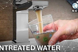 "Nước thô" là gì mà nó lại thu hút sự quan tâm của thung lũng Silicon?