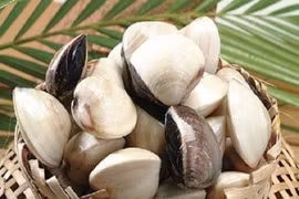 Mách bạn mẹo chọn ngao, sò, ốc tươi ngon nhất