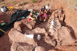 Phát hiện thấy hóa thạch khủng long titanosaur cổ nhất thế giới