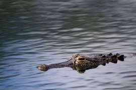 Lời nói dối khó tin che dấu tội ác kinh hoàng suốt 18 năm