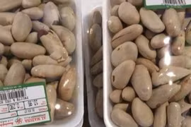 Loại hạt người Việt ăn xong vứt bỏ, bán đắt giá ở Nhật