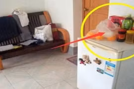 Đặt 4 thứ này trên nóc tủ lạnh sẽ cản tài lộc, gia đình nghèo khó 