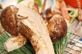 Nhà giàu săn nấm ăn chay có mức giá mà nhà nghèo không dám nghĩ đến