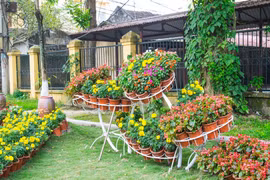 Chi 30 triệu tiêu Tết, nàng dâu bị kiểm điểm chiều cuối năm