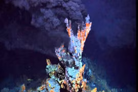 Tạo ra loại vi khuẩn mới được cho là thủy tổ của sự sống trên Trái đất