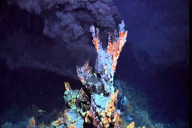 Tạo ra loại vi khuẩn mới được cho là thủy tổ của sự sống trên Trái đất