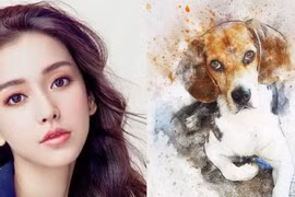 Tháng 4/2021: 3 con giáp hiền lương nhân ái cuộc sống biến dữ hóa lành