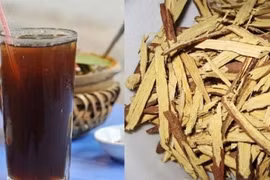 Nhân trần giải nhiệt mát gan nhưng 3 kiểu người này nên tránh xa