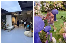 Cường Đô La tậu studio tại nhà chỉ để ái nữ chụp bộ ảnh đầu đời