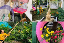 Khu vườn trong biệt thự triệu đô của ca sĩ Vy Oanh