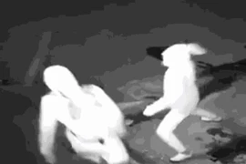 Video: Rủ nhau đi ăn trộm, thanh niên bị đồng bọn ném gạch trúng đầu