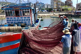 Những “thợ săn” tiền ở vùng biển: Vài giờ thu về hàng trăm triệu