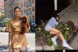 Miss Universe 2012 bị chỉ trích vì say xỉn ngã nằm ngay gốc cây bên đường