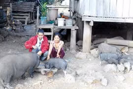 Ngược đời chuyện "hối lộ" để bắt chồng ở Đắk Lắk