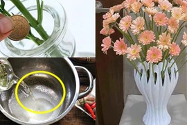 Dùng nước lã cắm hoa là chưa đủ: Thêm thứ này vào hoa tươi roi rói