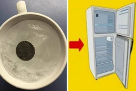 Đi xa nhà vài ngày, bạn nên đặt 1 đồng xu vào tủ lạnh vì lý do này