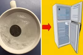 Đi xa nhà vài ngày, bạn nên đặt 1 đồng xu vào tủ lạnh vì lý do này